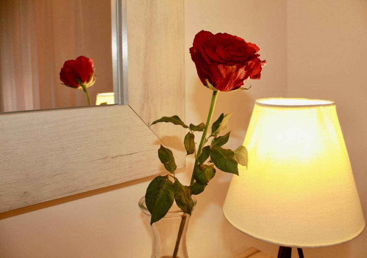 Apartment Queen Belgrad Zewnętrze zdjęcie