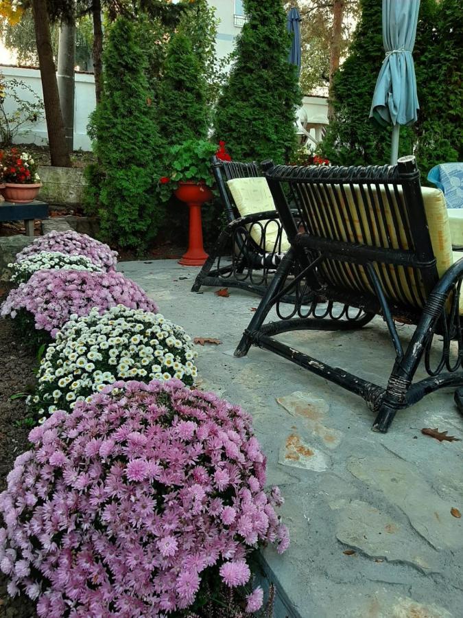 Apartment Queen Belgrad Zewnętrze zdjęcie